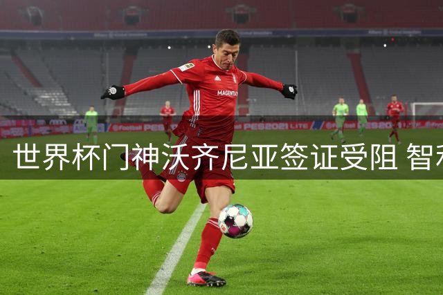 世界杯门神沃齐尼亚签证受阻 智利豪门球衣营销遇政策难题