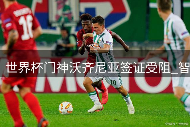 世界杯门神沃齐尼亚签证受阻 智利豪门球衣营销遇政策难题