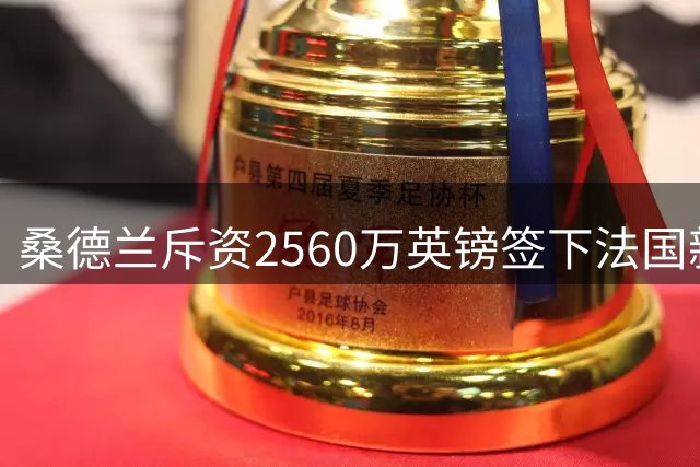 桑德兰斥资2560万英镑签下法国新星后卫
