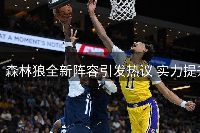 森林狼全新阵容引发热议 实力提升还是仅换面貌？